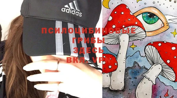 бошки Зеленокумск